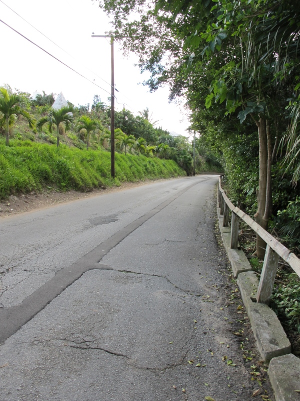 Day5 - 53 down to Henry VIII 19-Jan-2010